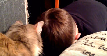 泣いた男の子を励ます猫