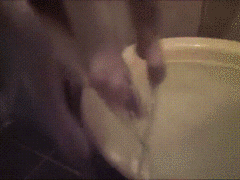 お風呂に入り直す猫