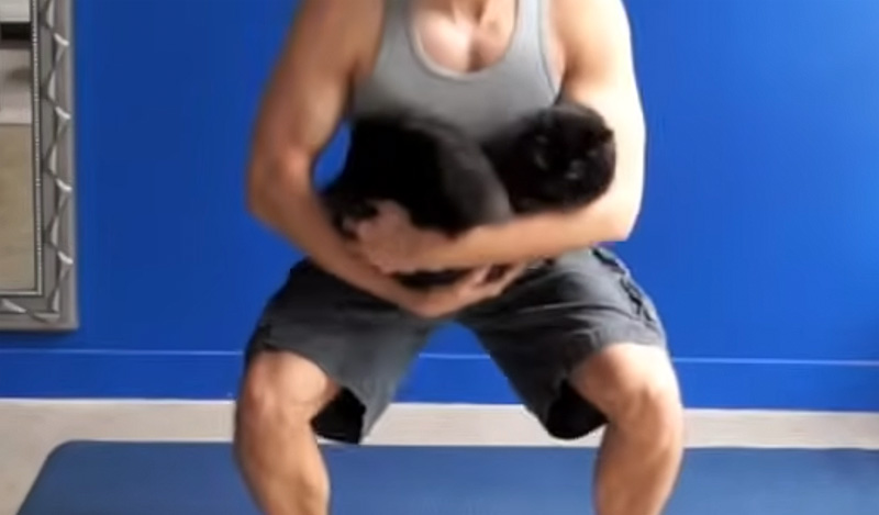 猫トレーニング
