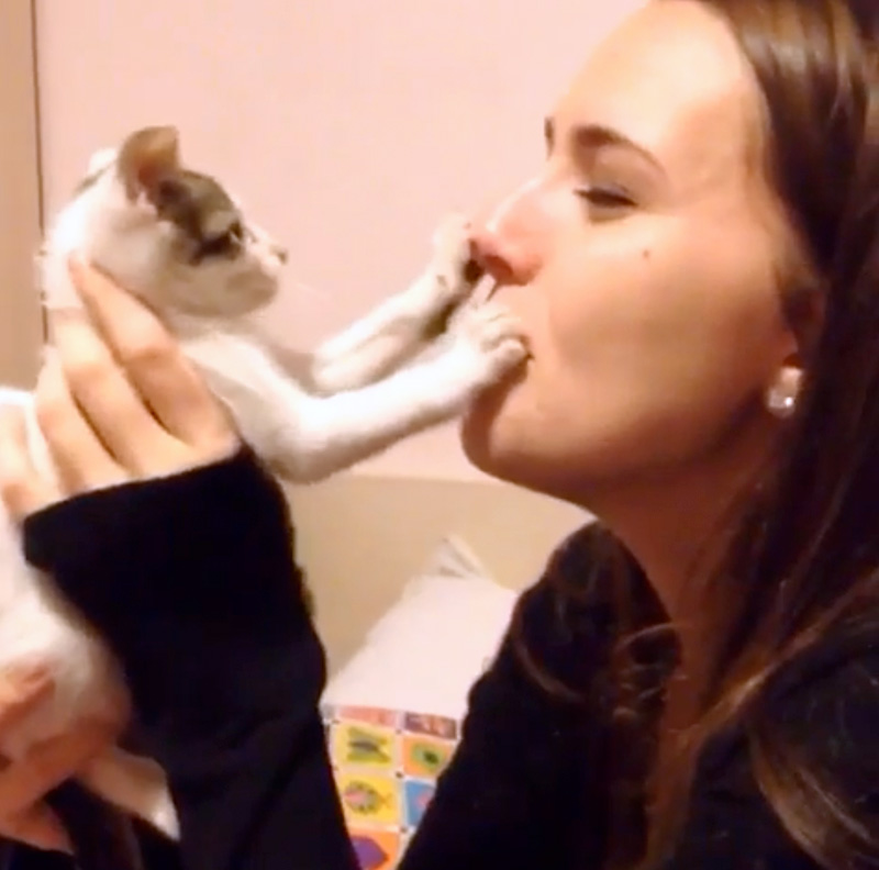 キスお断りの子猫