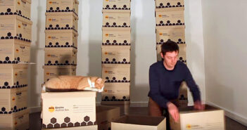 猫のために手作りタワーを作る飼い主さん