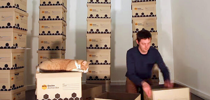 猫のために手作りタワーを作る飼い主さん