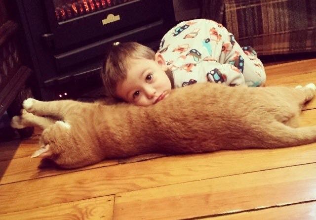 猫を枕にする男の子
