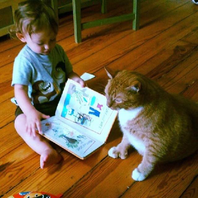 猫と一緒に本を読む男の子