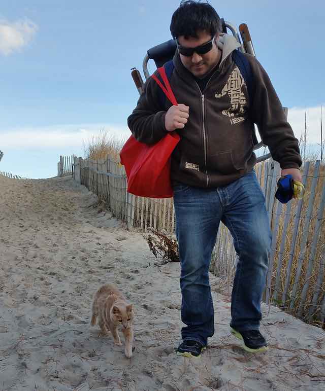 旅行中の男性といっしょに歩く猫