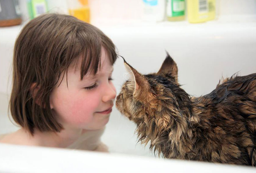 いっしょにお風呂に入る猫と少女