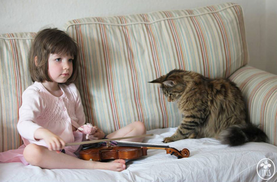 幸せな時間を過ごす猫と少女