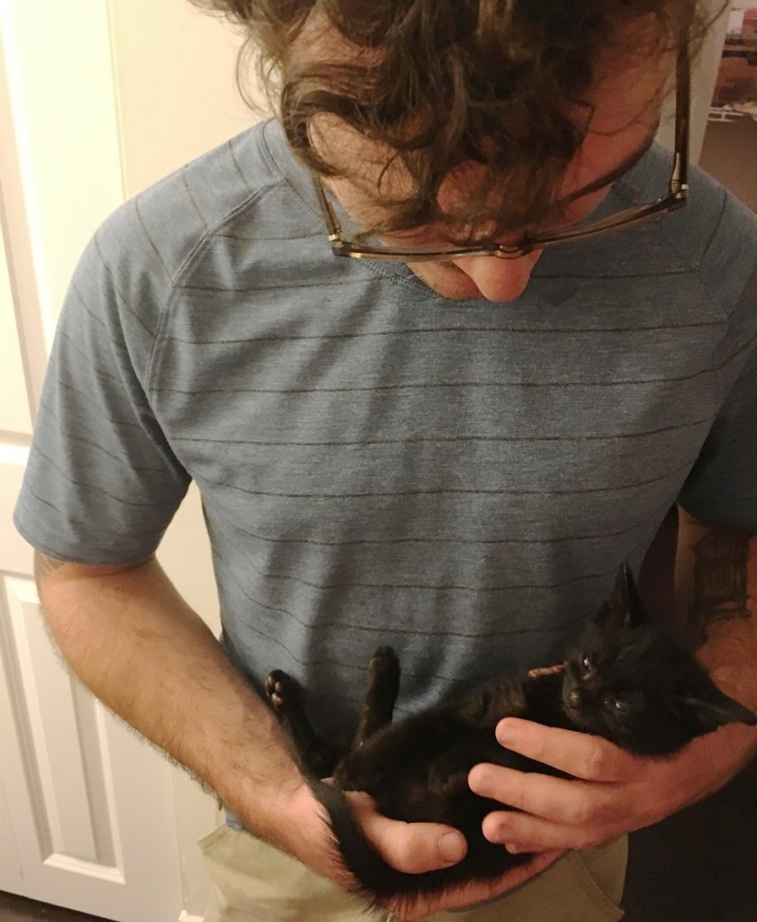 抱っこされる子猫