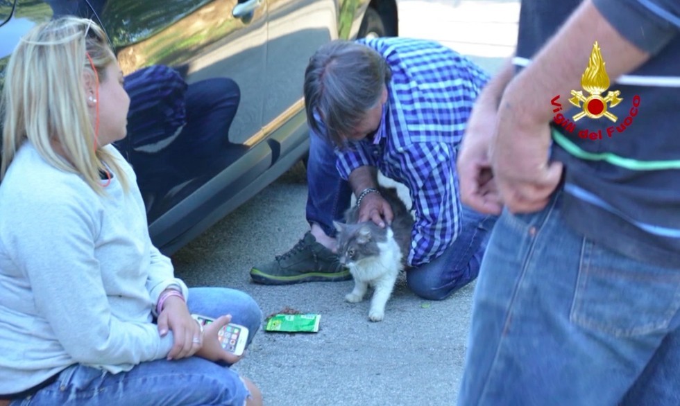 喜ぶ飼い主さん