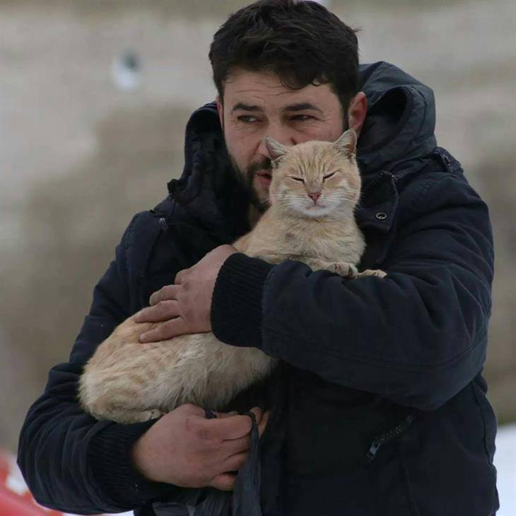 幸せそうな猫