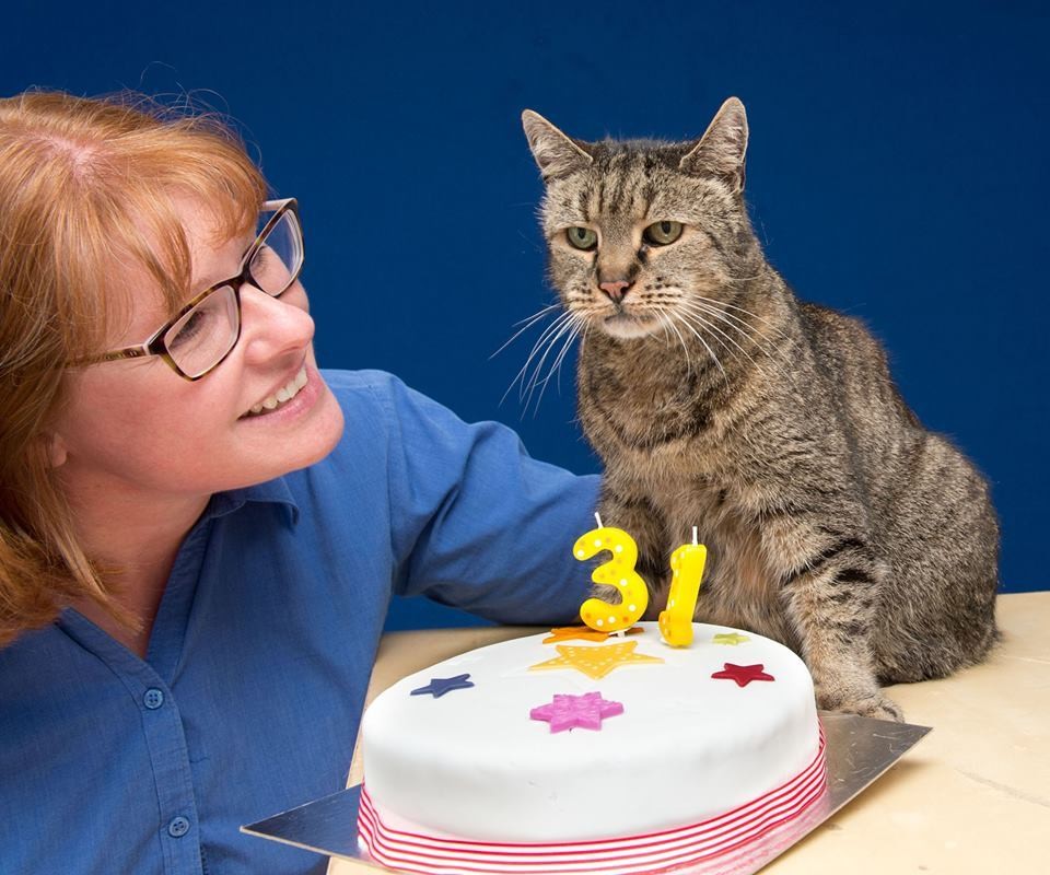 31歳の誕生日を迎えた老猫