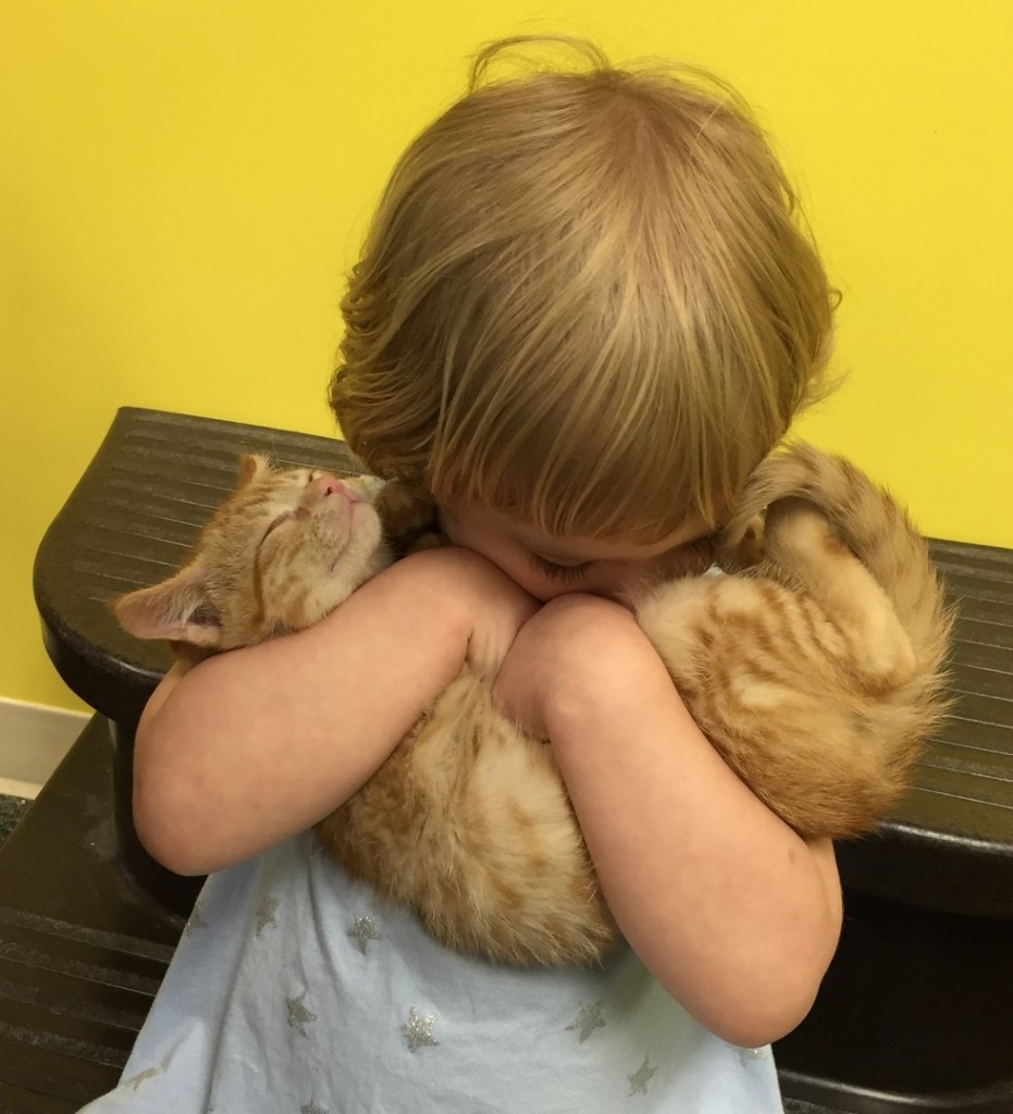 子猫を抱く少女
