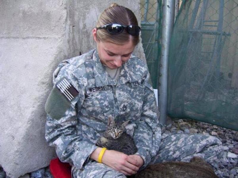 子猫を保護した兵士