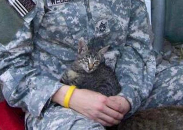 兵士に抱っこされる猫