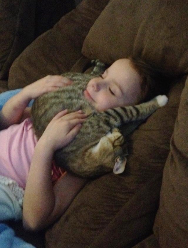 女の子に抱っこれる子猫
