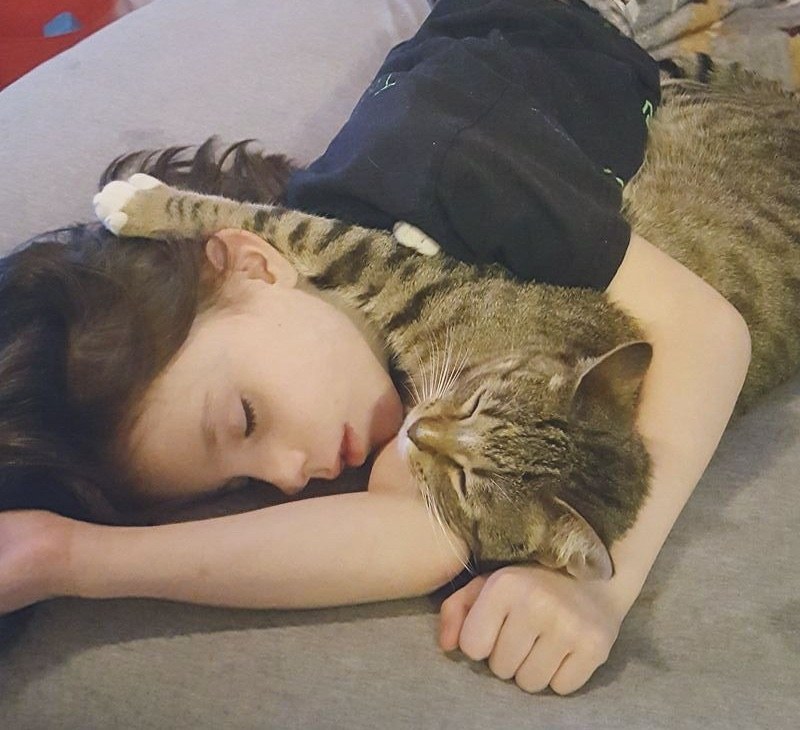 女の子と一緒に眠る子猫