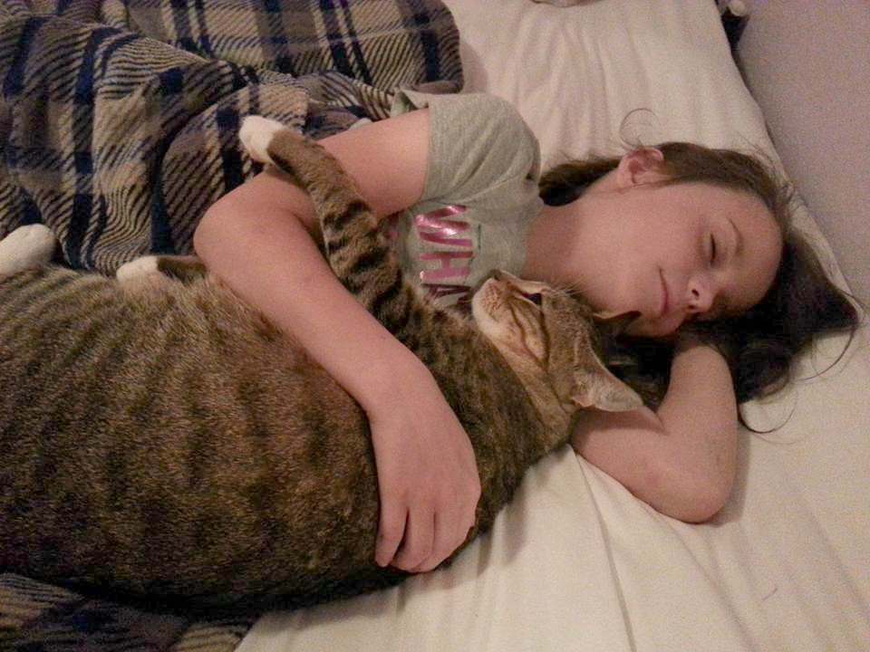 いっしょに眠る女の子と猫