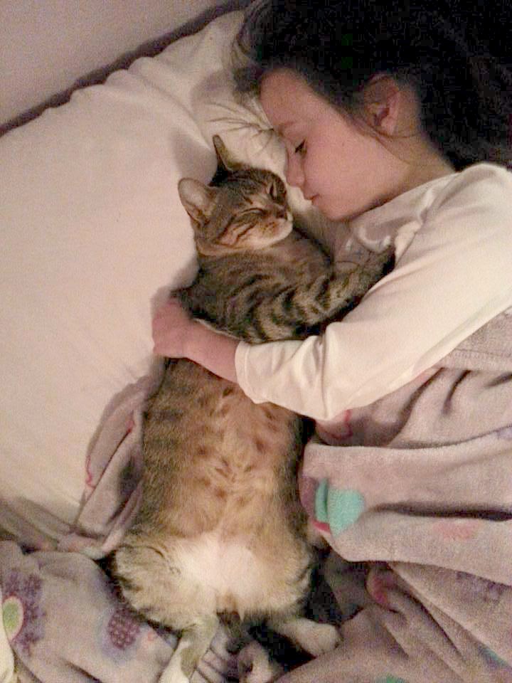 抱き合う女の子と猫