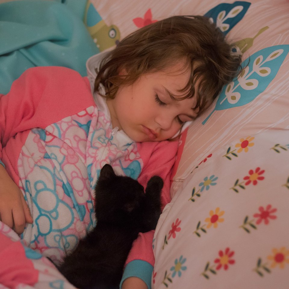 女の子と子猫