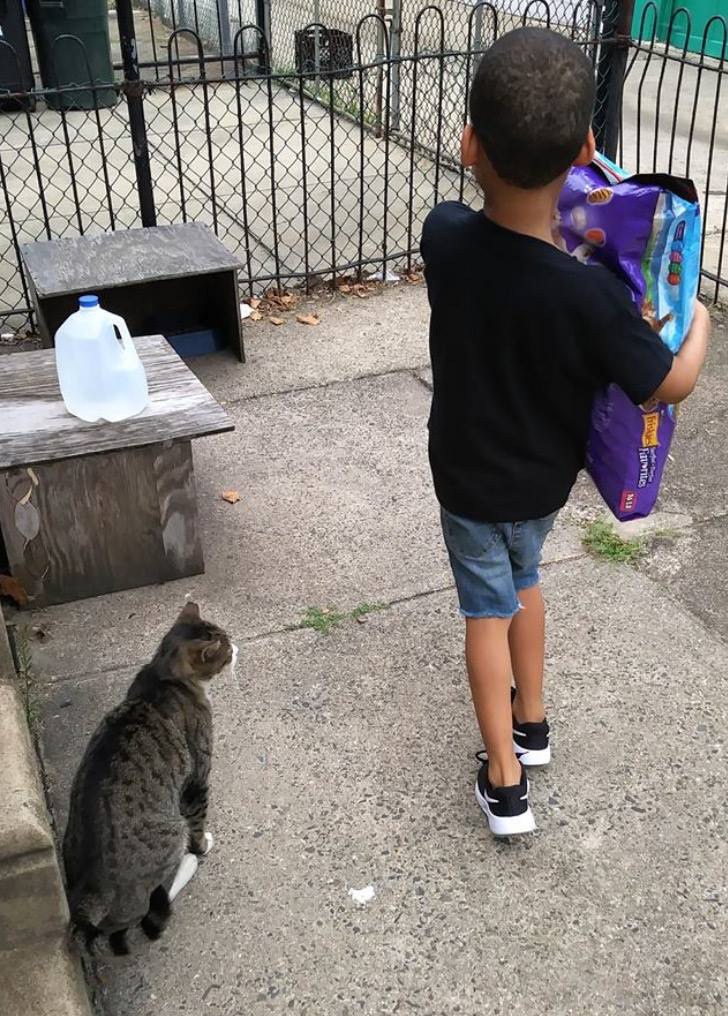 ご飯を運ぶ少年