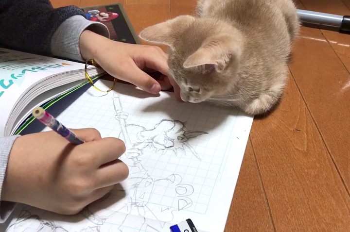 絵を見つめる子猫