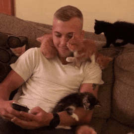 子猫に囲まれる男性