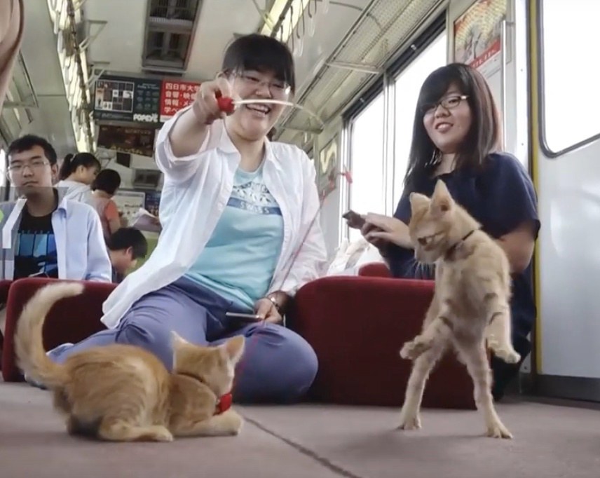 猫の電車