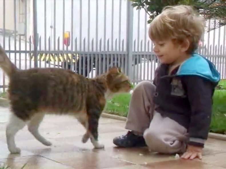 出会った男の子と猫