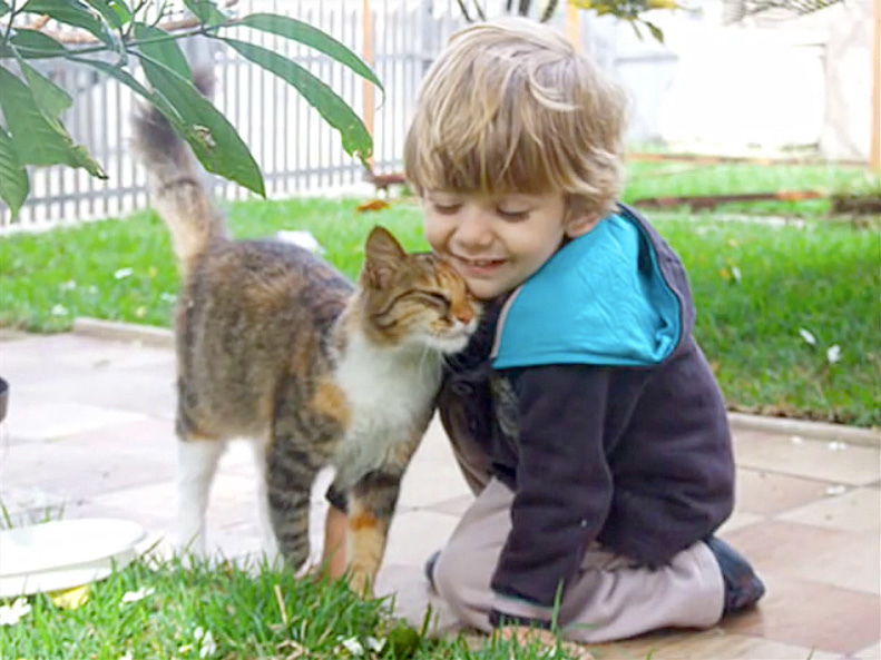 スリスリする男の子と猫