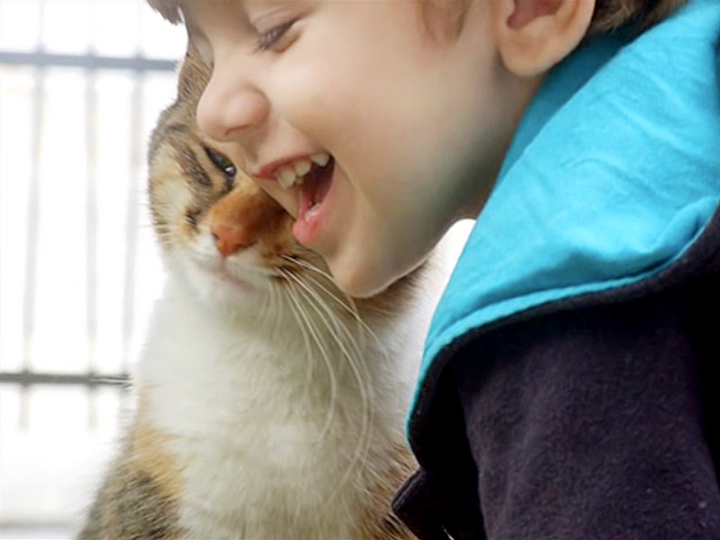 仲良しな男の子と猫