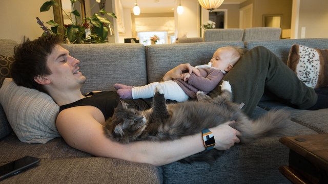 お父さんと赤ちゃんと猫