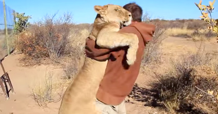抱き合う男性とライオン