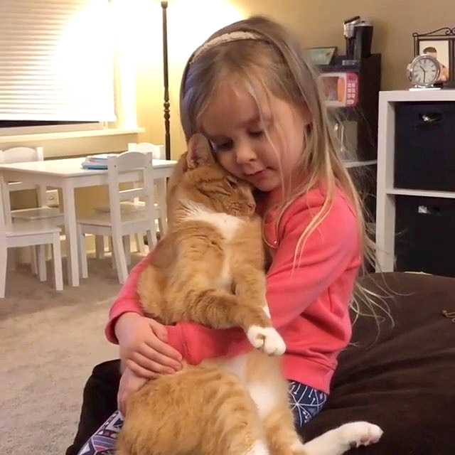 猫と女の子
