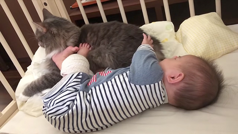 寄り添う赤ちゃんと猫さん
