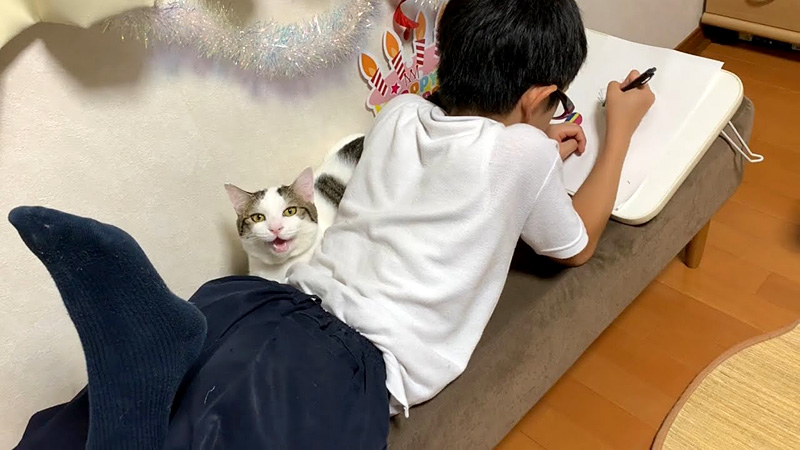 男の子に寄り添う猫