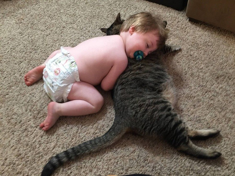 寄り添う赤ちゃんと猫