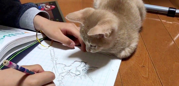 お絵描きを見つめる子猫