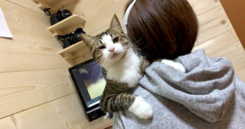 お母さんに寄り添う猫