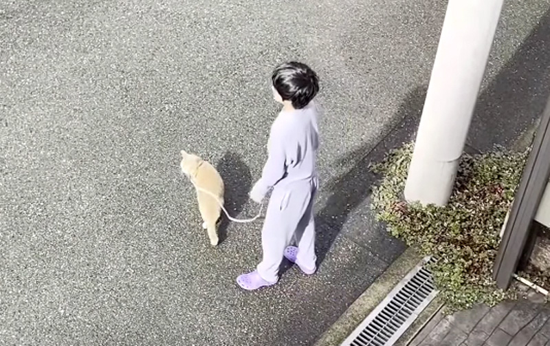 お散歩デートする男の子と猫
