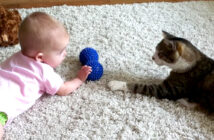会話をする赤ちゃんと猫