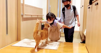 子供達と再会した猫