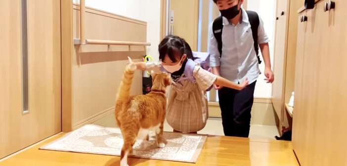 子供達と再会した猫