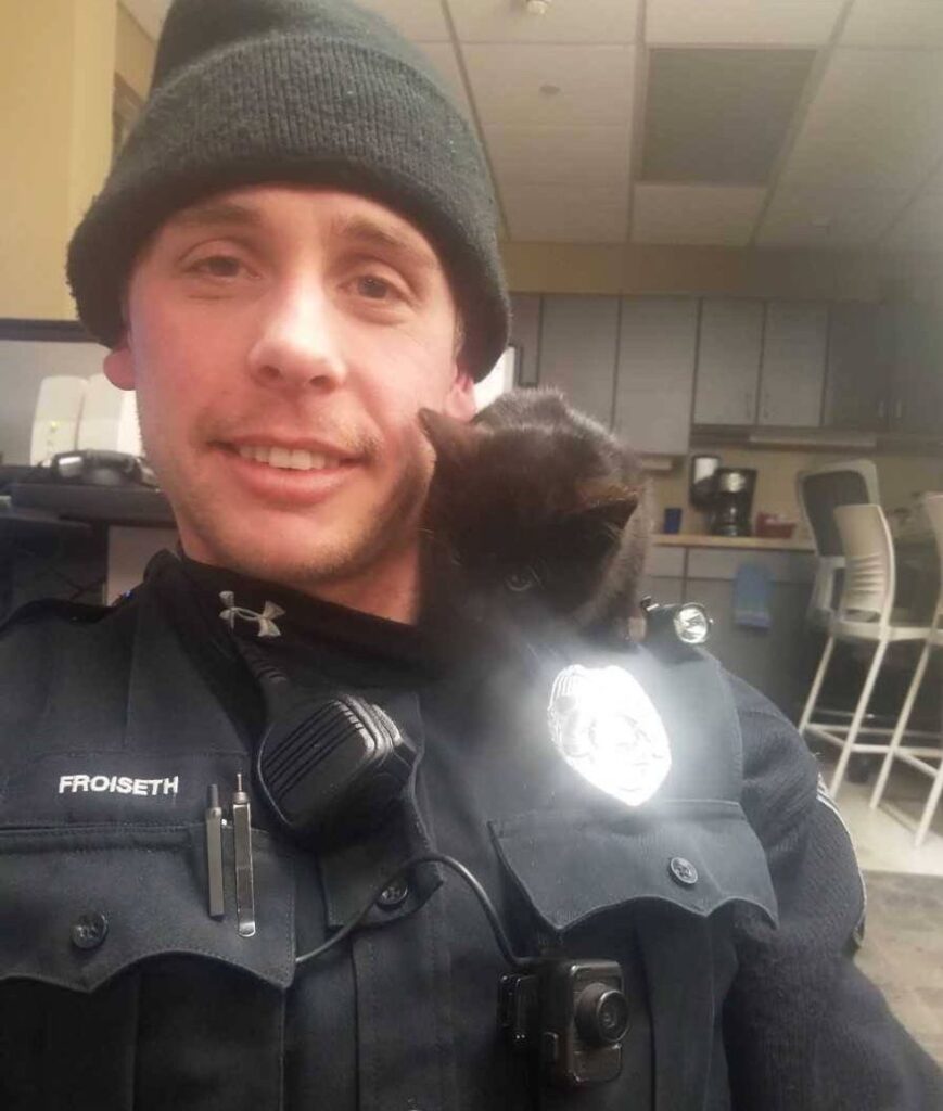 警察官に保護された子猫