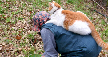 こごみ採りをするおばあちゃんと猫