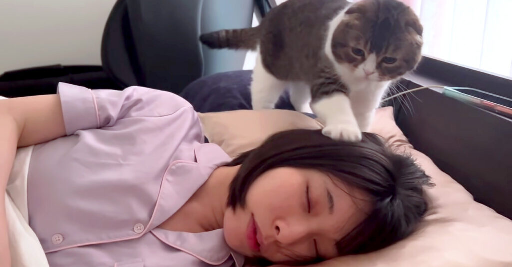 momnidone_cat_title-1024x534.jpg