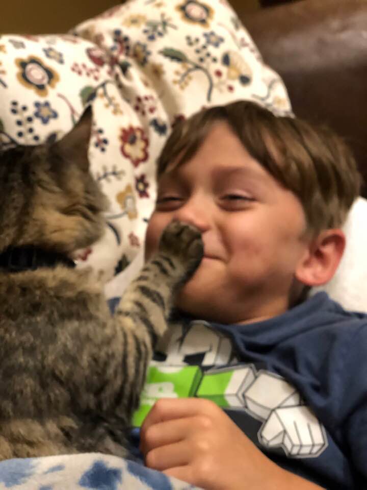 猫と仲良しな少年