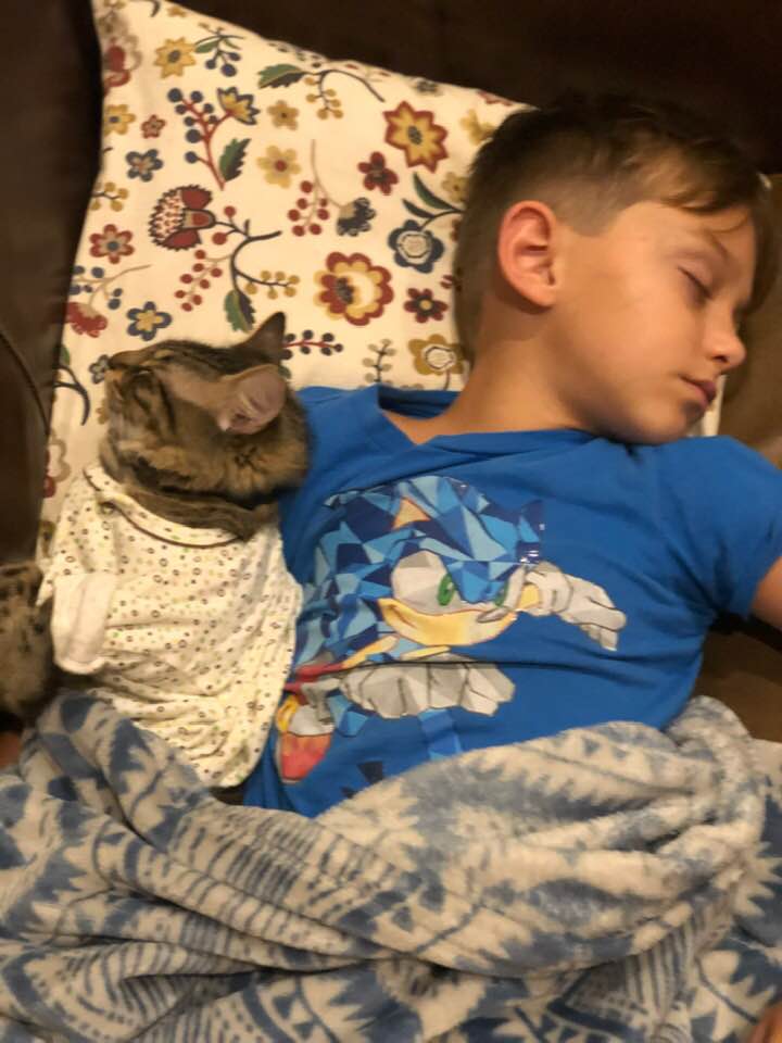 一緒に眠る少年と猫