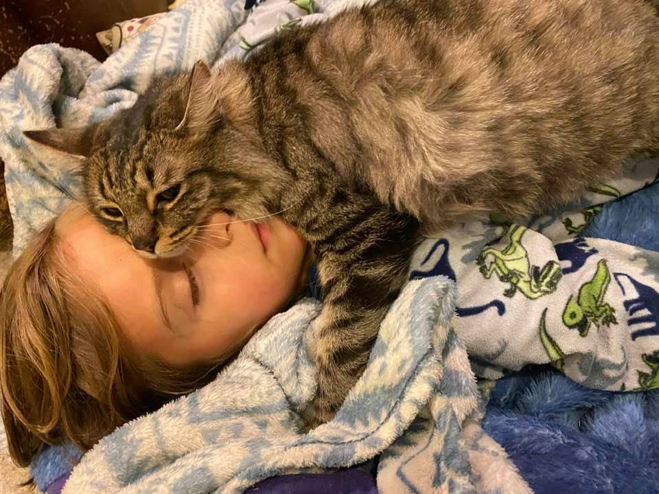 少年と一緒に眠る猫