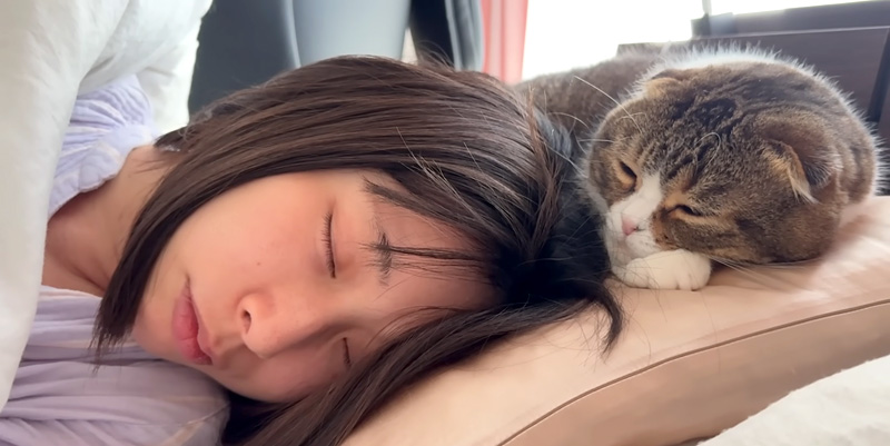 お母さんと眠る猫