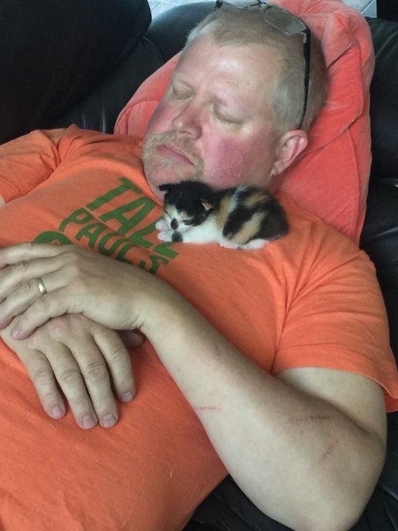 子猫と一緒に眠る男性